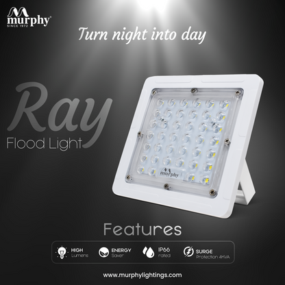 Murphy LED 20W Ray-Pvc Body Flood Light