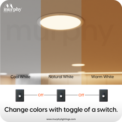 Murphy 10W Trimless 3 Color Changing Round Recess Panel Light