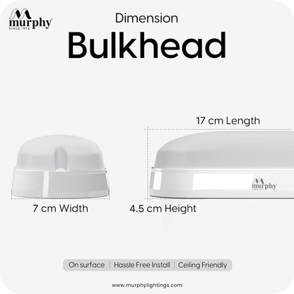 10W LED Bulkhead Wall Mount Light