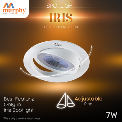 Murphy 7W IRIS LED Concealed Box Down Light