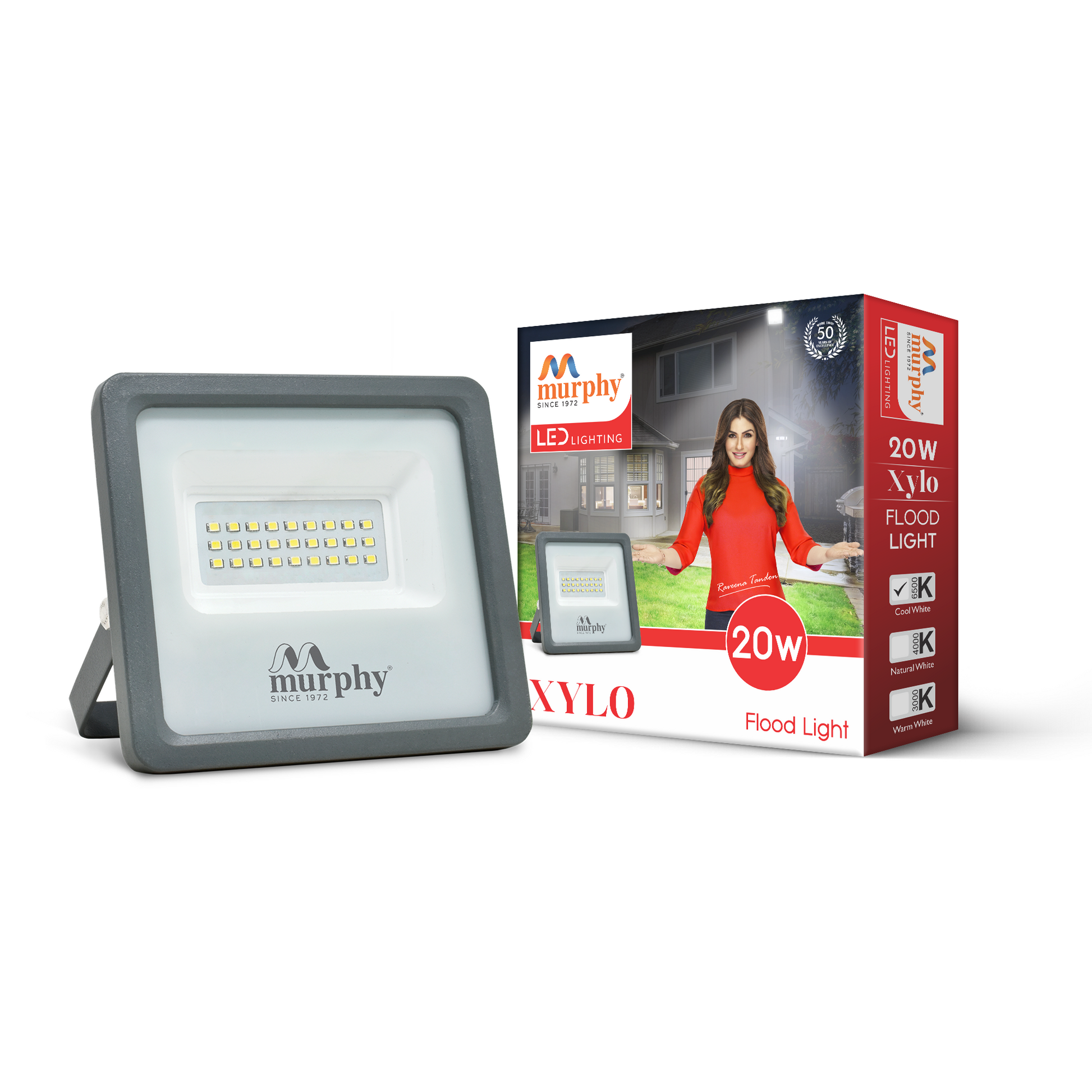 20W LED Flood Light XYLO