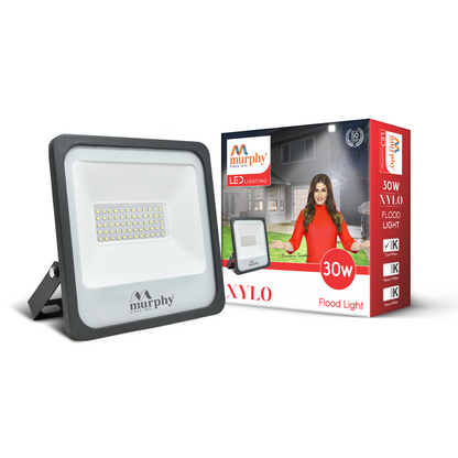 Murphy LED 30W Xylo Flood Light